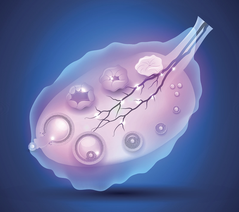 长沙三代试管孩子费用清单，长沙做第三代试管婴儿费用要多少钱？